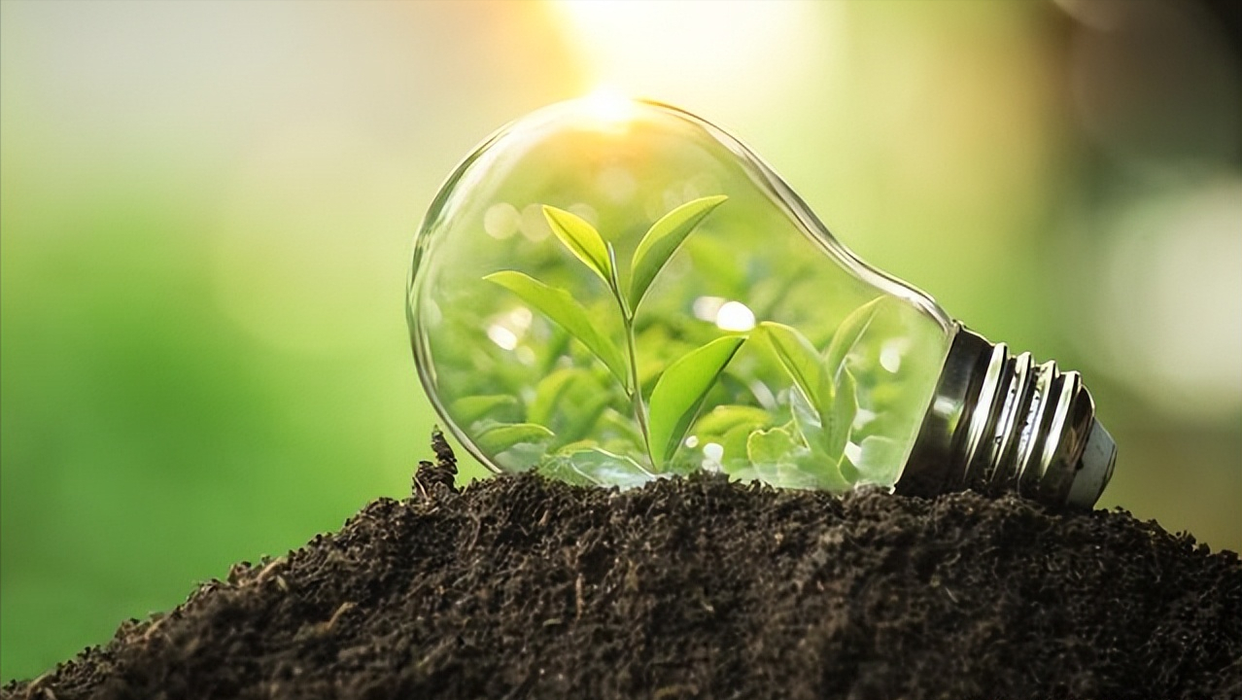 光伏龍頭股票有哪些（光伏龍頭股排名前十）