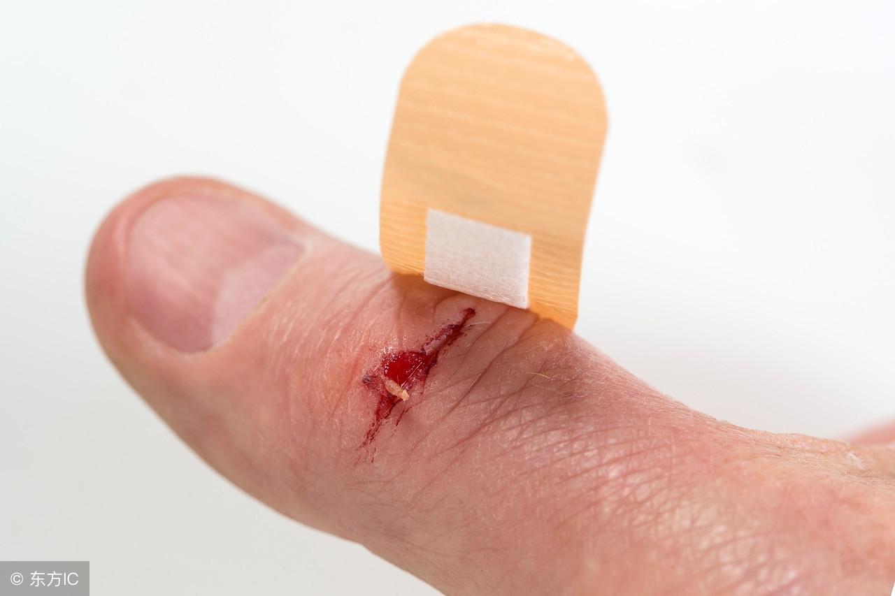 落地生根什么時(shí)候開(kāi)花，落地生根怎么治痔瘡?