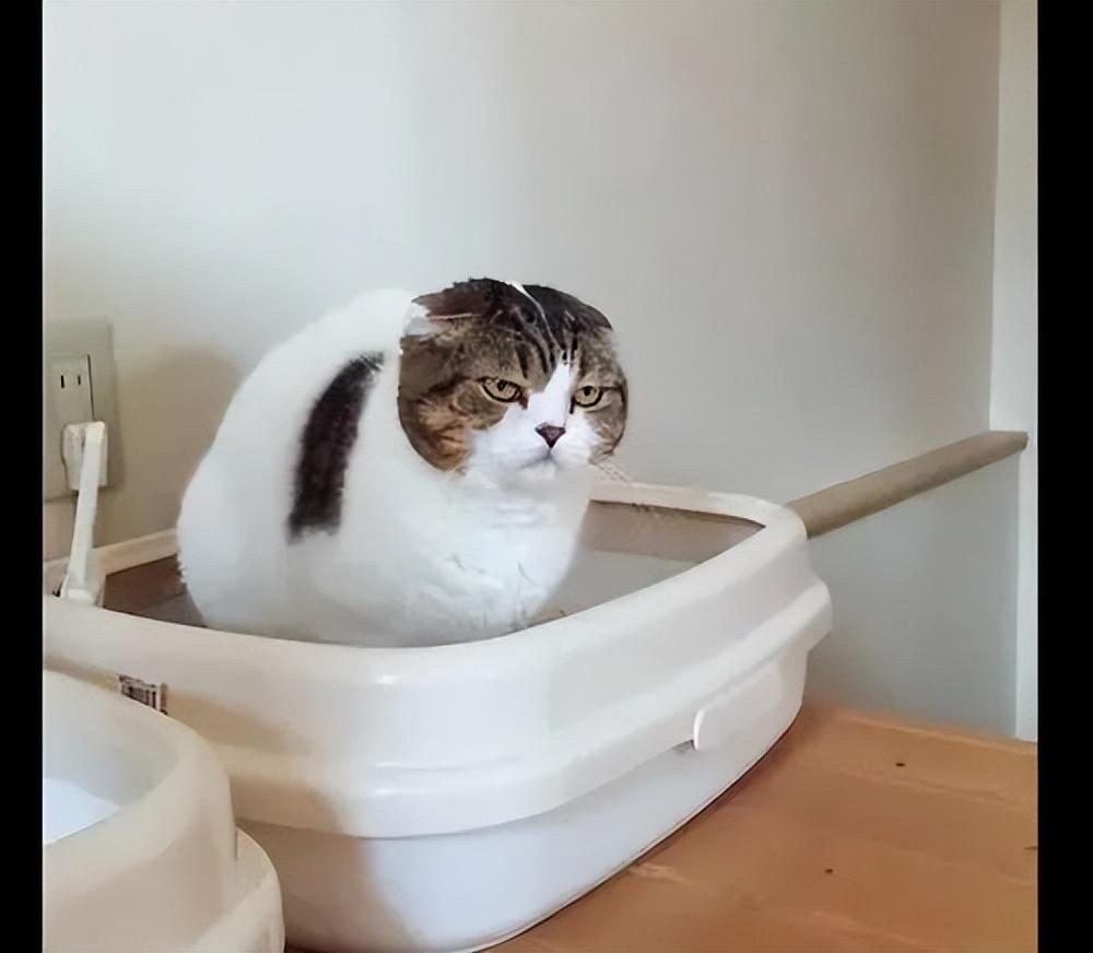 礦泉水打開(kāi)第二天還可以喝嗎?，礦泉水打開(kāi)第二天能喝嗎