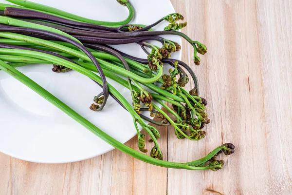 厥菜——山菜之王（被列為致癌蔬菜，可適量食用）