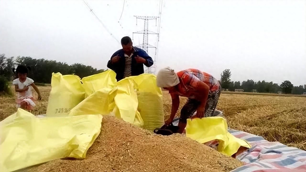 地補取消，農業(yè)補貼停發(fā)，農民種地意愿大打折扣