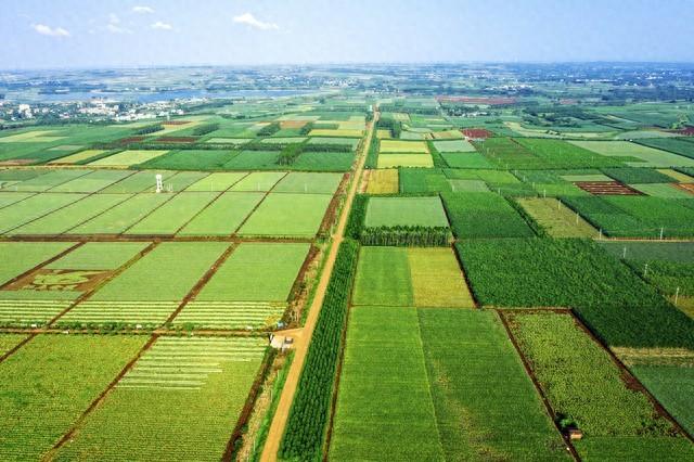 搞農業(yè)賺錢(qián)，有沒(méi)有想過(guò)為什么農民不賺錢(qián)